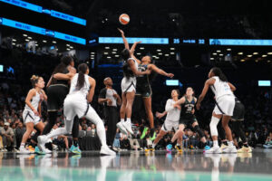 Womens National Basket Association - WNBA